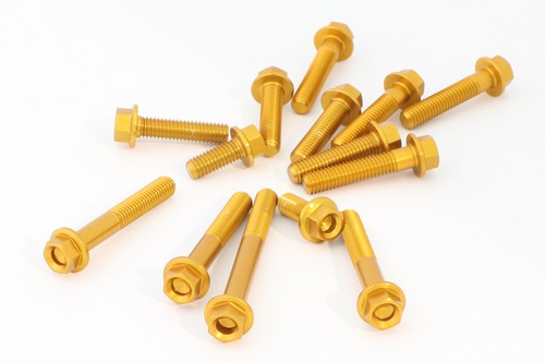 Evotech engine screws kit - screws,